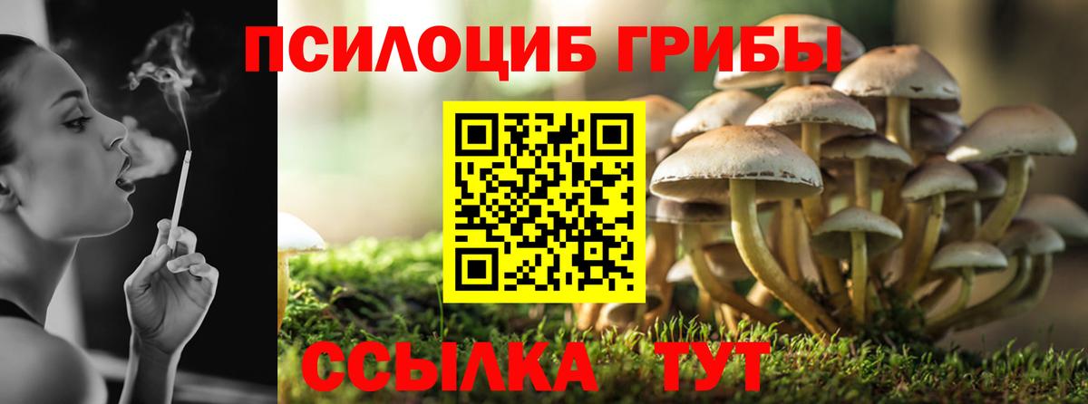 Дятьково  купить наркотик  Вход с VPN  Псилоцибиновые грибы ЛСД 